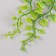 Artificial plant for creativity "epiprememum" set of 6 pcs 15 cm