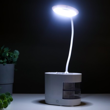 Highway lamp 16813/1 LED 5W USB white 8x12x43 cm Risalux-4