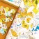 Designer - Puzzle "Map of the World"