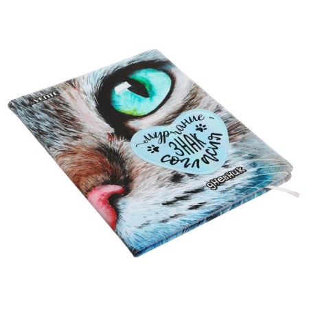 Universal diary for grade 1-11 Watching You, solid cover, artificial leather, foam rubber, liesse, 80 g/m2-1