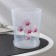 Pot for orchids with a pallet, 1.2 l, color mix
