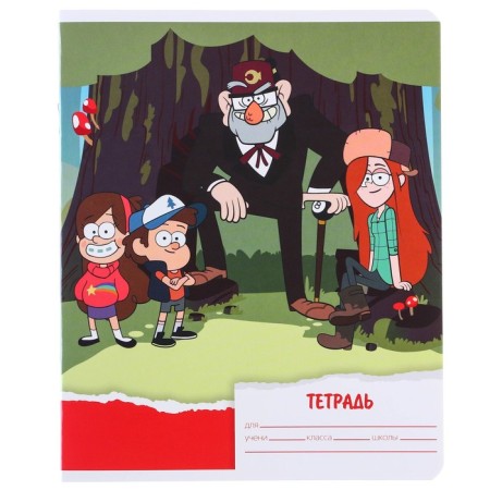 Notebook in a line of 18 sheets, 5 types of mix, cover coated cardboard, gravity farz-10