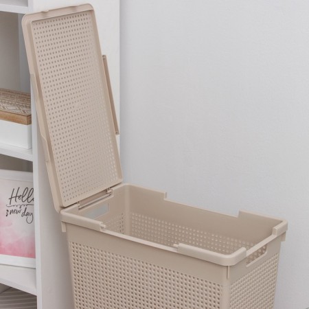 Besnaya basket with a lid "Loft", 50 l, color Latte-1
