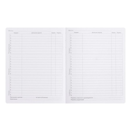 Diary Artificial leather 1-11 grade, 48 sheets, cage, integral cover Silver Lines. Super Duper, foil embossing, rounded corners, colored end-6