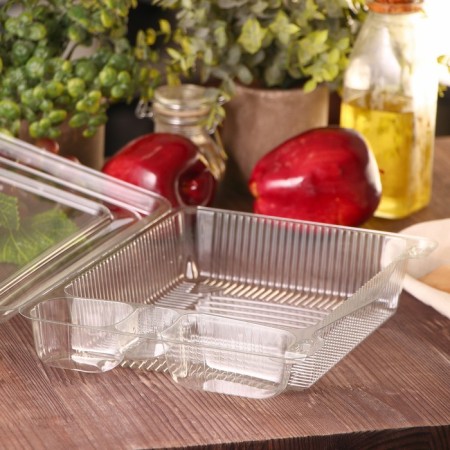 A disposable container with an insoluble lid pr-K-25s4, 26.5 × 19.3 × 6.8 cm, the color is transparent-1