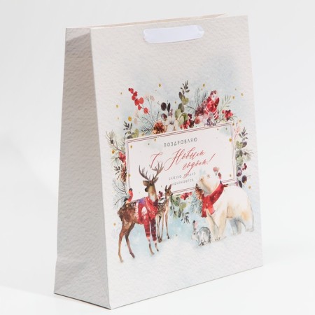 Laminated vertical package “Congratulations to you”, m 30 x 26 x 9 cm, New Year-2