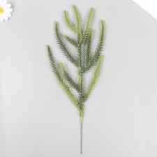 Decor for creativity 