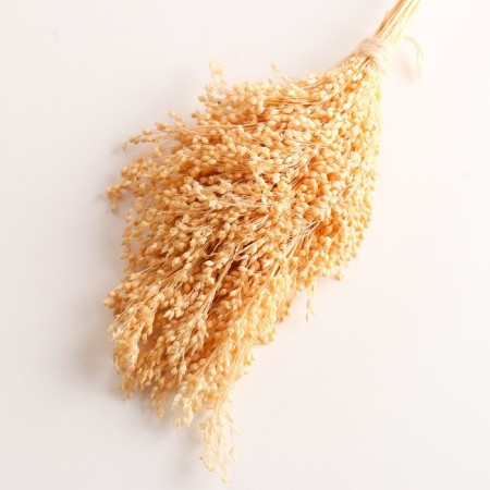 Set of dried flowers "millet", banch length 45 (+/- 6 cm), bleached-2