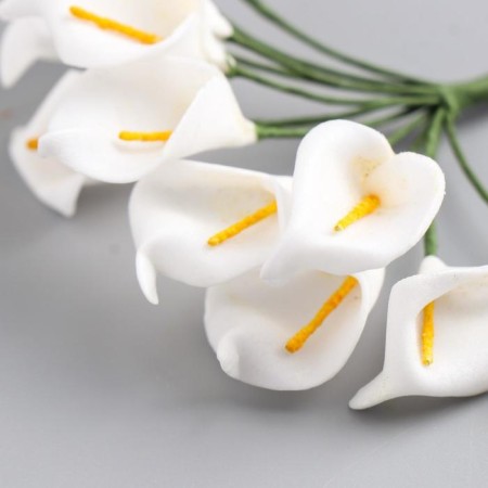 Decor for creativity "White Calles" (set-Book 12 flowers) 10 cm-2