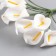 Decor for creativity "White Calles" (set-Book 12 flowers) 10 cm