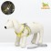 A set with a soft harness, fast-open, s, leash 150 x 1.5 cm, Osh 33-36 cm, OG 35-40 cm, yellow