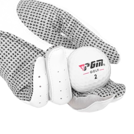 PGM vs golf, three -component, d = 4.3 cm, set 12 pcs-2