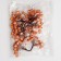 Decorative berries, orange, 7 × 6 × 7 cm, 40 berries