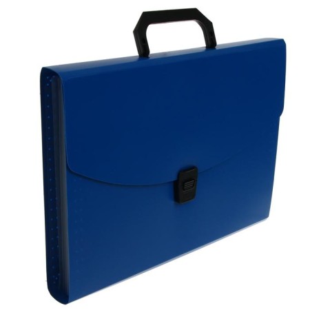 A4 Calligrata Portfli folder, 6 departments, 700mm, up to 300 sheets, blue-1