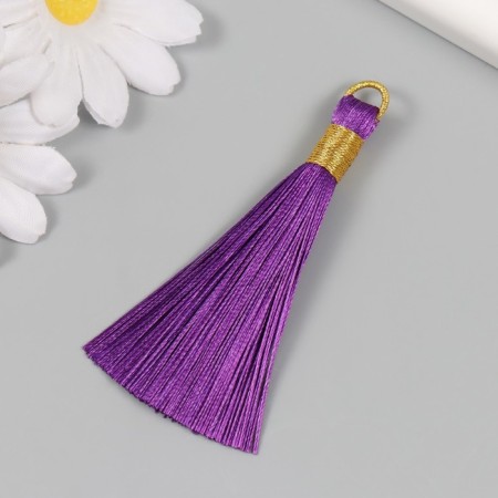 Decor for creativity Textile "Brush. Olivia" Violet set 2 pcs 8x1.2 cm-1