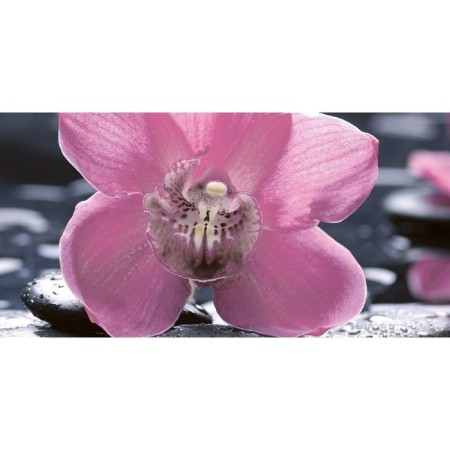 Ceramic insert 50x25cm Bolero Orchid Black 10-04-04-162-1