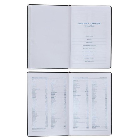 Deliciper of Leduced A5, 100 sheets in a cage, with a strap, PVC cover, mix-6