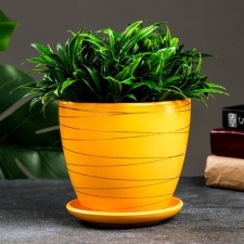 Flower pot 