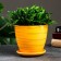 Flower pot "Magnolia" yellow, 1.4 liters