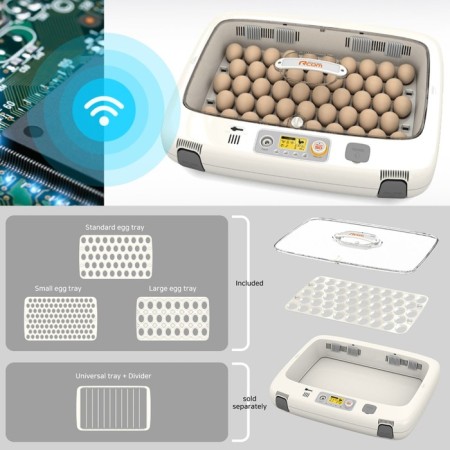 Incubator, 50 eggs, automatic coup, 120 V, with ovoscope, rcom-4