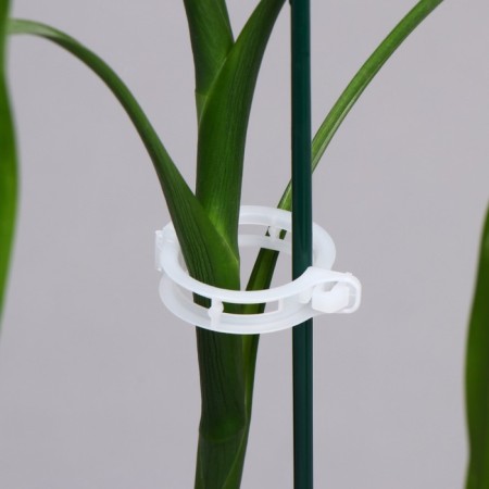 Garden clip, d = 23 mm, set 50 pcs., Greengo-6