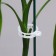 Garden clip, d = 23 mm, set 50 pcs., Greengo