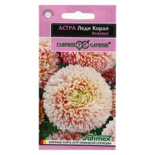Flower seeds Astra 