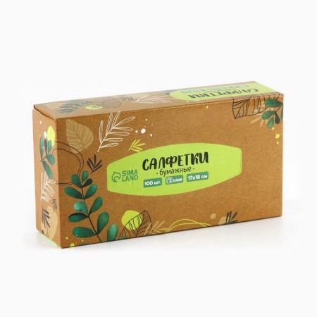 Paper napkins in the box "Eco", 100 pcs, two -layer-1