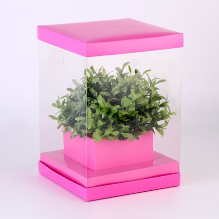 Box for flowers with a vase and PVC windows are folding, 16 x 23 x 16 cm, plain, pink