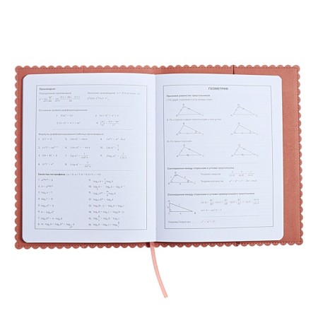 Universal Grade 1-11 Diary, 48 sheets "hare ears", soft cover of artificial leather, applique, foil embossing, figured cutting, universal cheat sheet, lies, block 80 g/m2-9