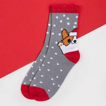 New Year's socks KAFTAN "Corgi" rr 16-18, gray-1