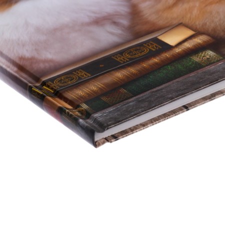 Universal diary for grades 1-11, "spitz", solid cover 7BC, glossy lamination, 40 sheets-3