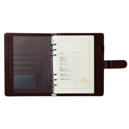 Organizer on the rings of "Classic" A5, 96 sheets in a line with a strap, mix-6