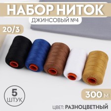 A set of thread jeans No. 4, 20/3, 300 m, 5 pcs, color colorful color