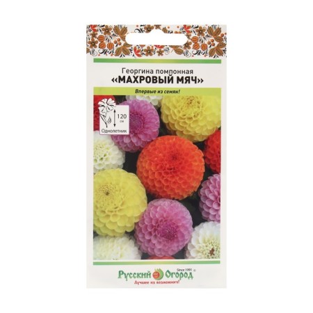 Georgin's flowers "terry ball", pomponal, mixture 0.2 g