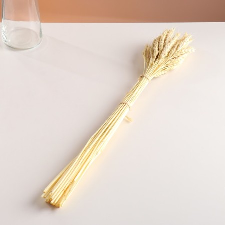 A set of dried flowers "wheat", a ban 35-40 pcs, length 55-65 (+/- 6 cm), bleached-3