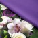 Bed linen 2 joint venture, size 220x240 cm, 175x220 cm, 50x70 cm - 2 pcs, 70x70 cm - 2 pcs