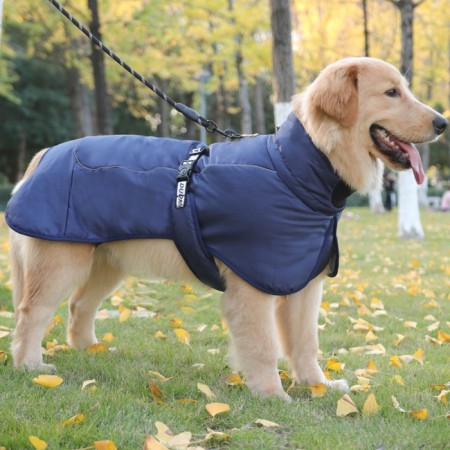 Popon for large dogs, membrane fabric, size 2xl (DS 43, Osh 46, OG 62-68 cm), blue-5