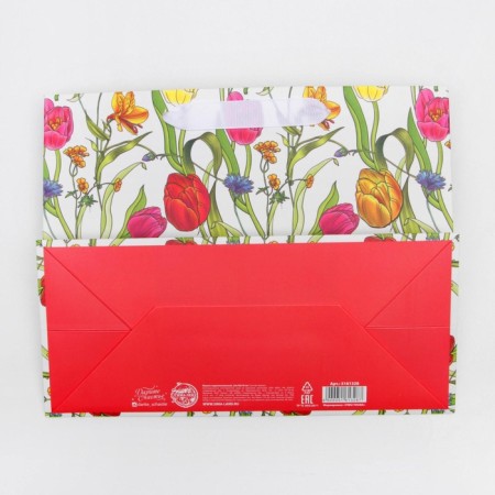 Package Gift Laminated Horizontal, Packaging, "Happy Day of March 8", MS 23 x 18 x 10 cm-4