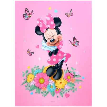 Folder for birth certificate, 1 file 21x30 cm, Minnie Mouse-4