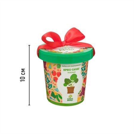 Set for creativity "Pot" "Cross-Salates Useful"-5