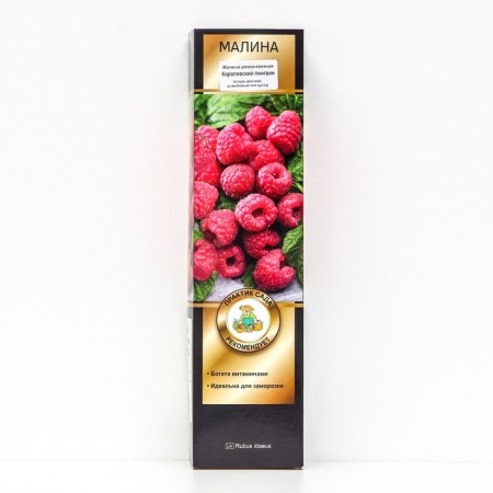 Raspberry raspberries "Royal Penguin", 1 pc, tube, spring 2025