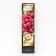 Raspberry raspberries "Royal Penguin", 1 pc, tube, spring 2025