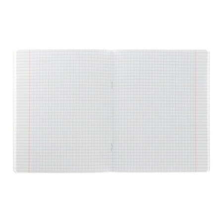 Notebook of 48 sheets in the "duckling" cage, covered cardboard, selective varnish, rounded corners, 5V, mix-2
