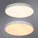 Люстра Arena 5 см, d 60 см, 80Вт LED