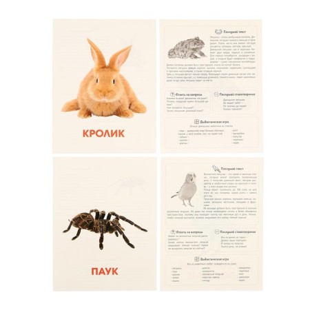Training cards "Pets"-6