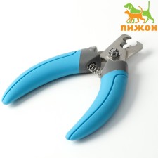 Coogers of the side with 2 holes, large, blue