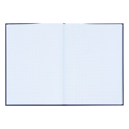 Book of accounting, 96 sheets, boumvinyl cover, offset block, cell, blue color-2
