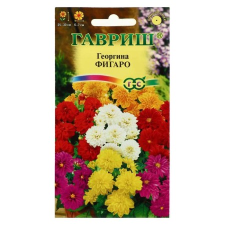 Georgin's flowers "Figaro", 7 pcs