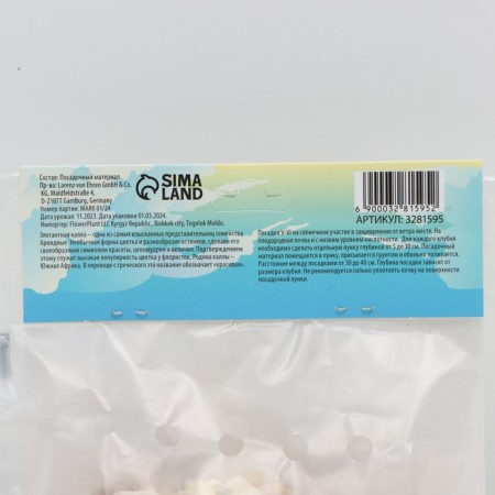 Calla "Crystal Blash", district 10/12, 5 pcs, spring 2024-2